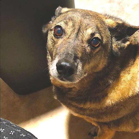 Meet your Posher, Kerry - Picture 16 of 16